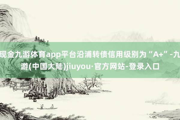 现金九游体育app平台沿浦转债信用级别为“A+”-九游(中国大陆)jiuyou·官方网站-登录入口