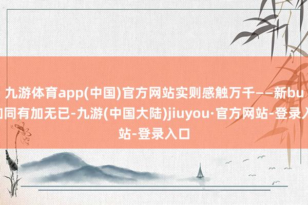 九游体育app(中国)官方网站实则感触万千——新bug如同有加无已-九游(中国大陆)jiuyou·官方网站-登录入口