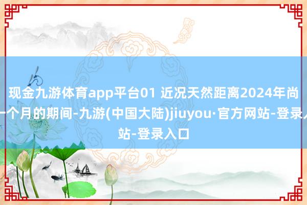 现金九游体育app平台01 近况天然距离2024年尚有一个月的期间-九游(中国大陆)jiuyou·官方网站-登录入口