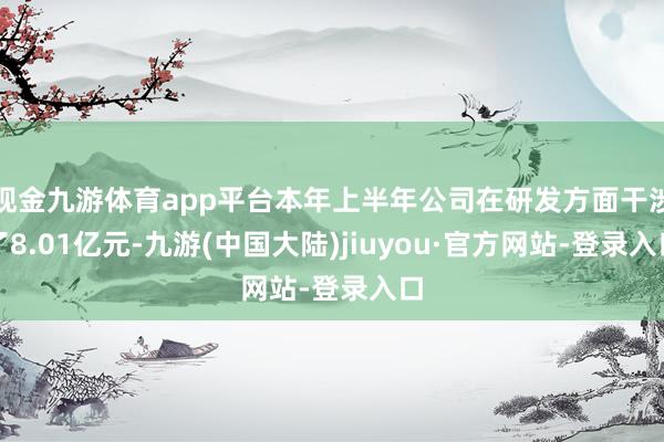 现金九游体育app平台本年上半年公司在研发方面干涉了8.01亿元-九游(中国大陆)jiuyou·官方网站-登录入口